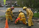 Training- (14)
